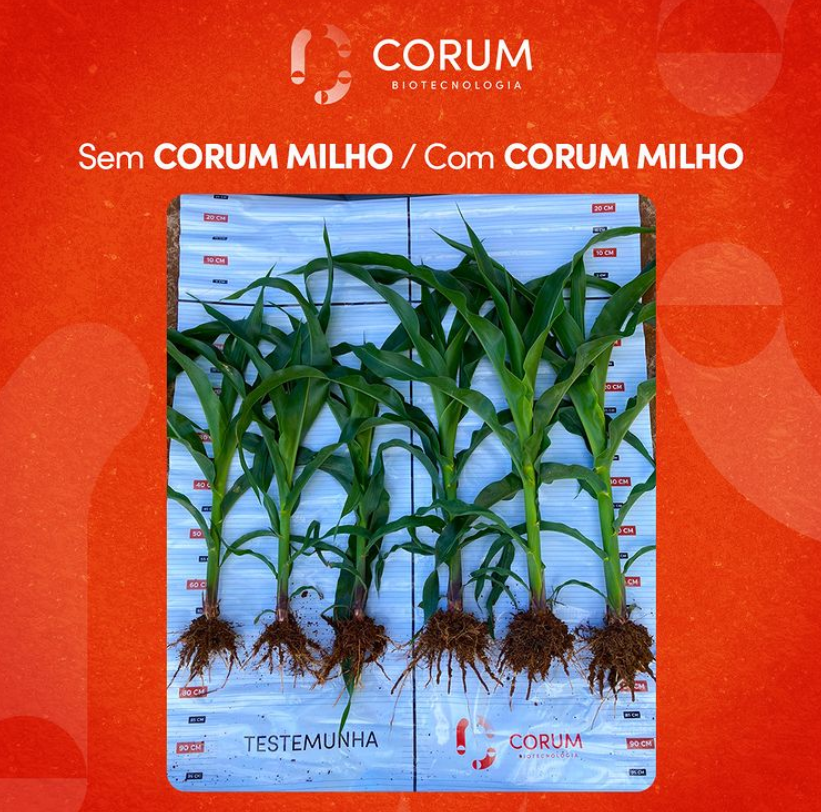 Corum Solu es vivas para uma agricultura mais viva